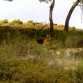 Yuli en el Campo.